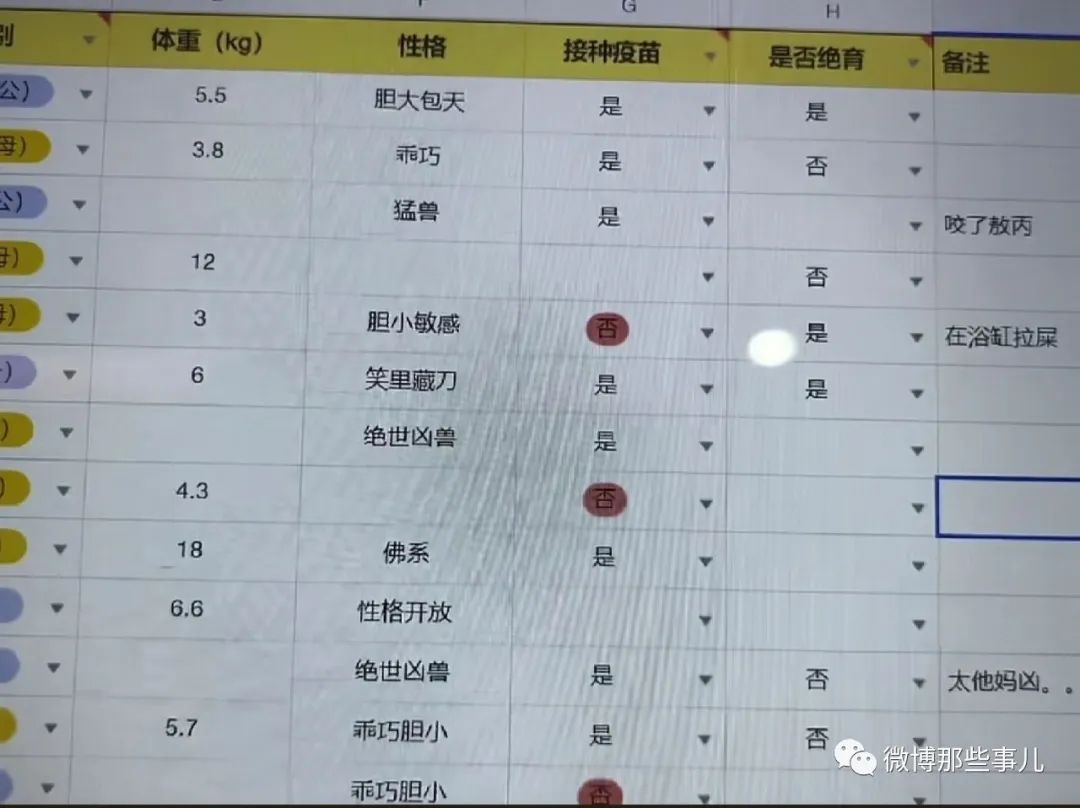 【今日爆笑大集合】日照香炉生紫烟…日照第一沸羊羊